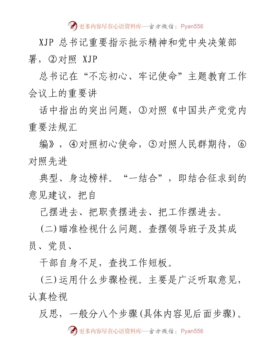 [工作方案] 主题教育 - “不忘初心、牢记使命”主题教育检视问题工作方案.docx_第2页