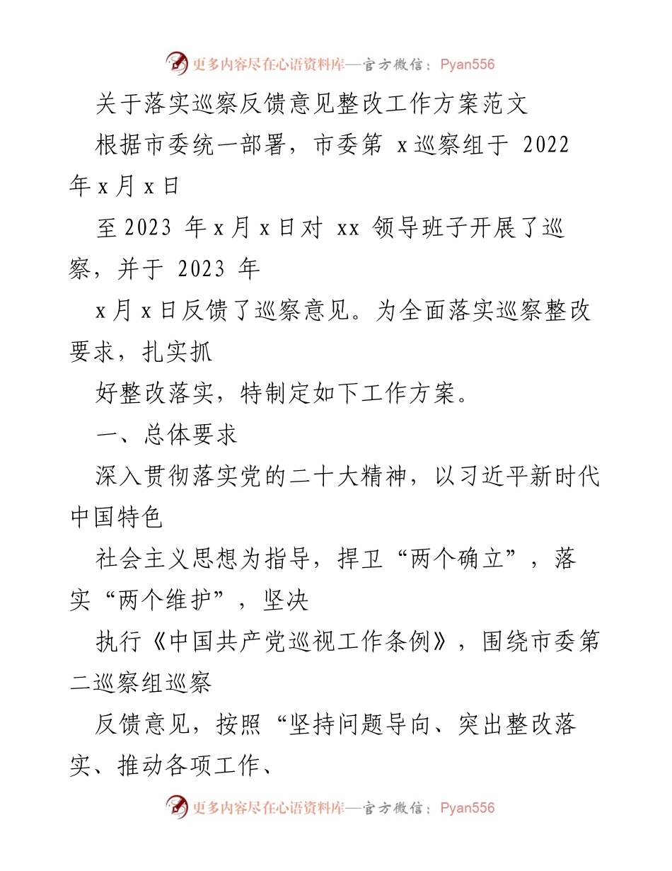 [工作方案] 巡察整改 - 巡察反馈意见整改工作方案实施细则.docx_第1页