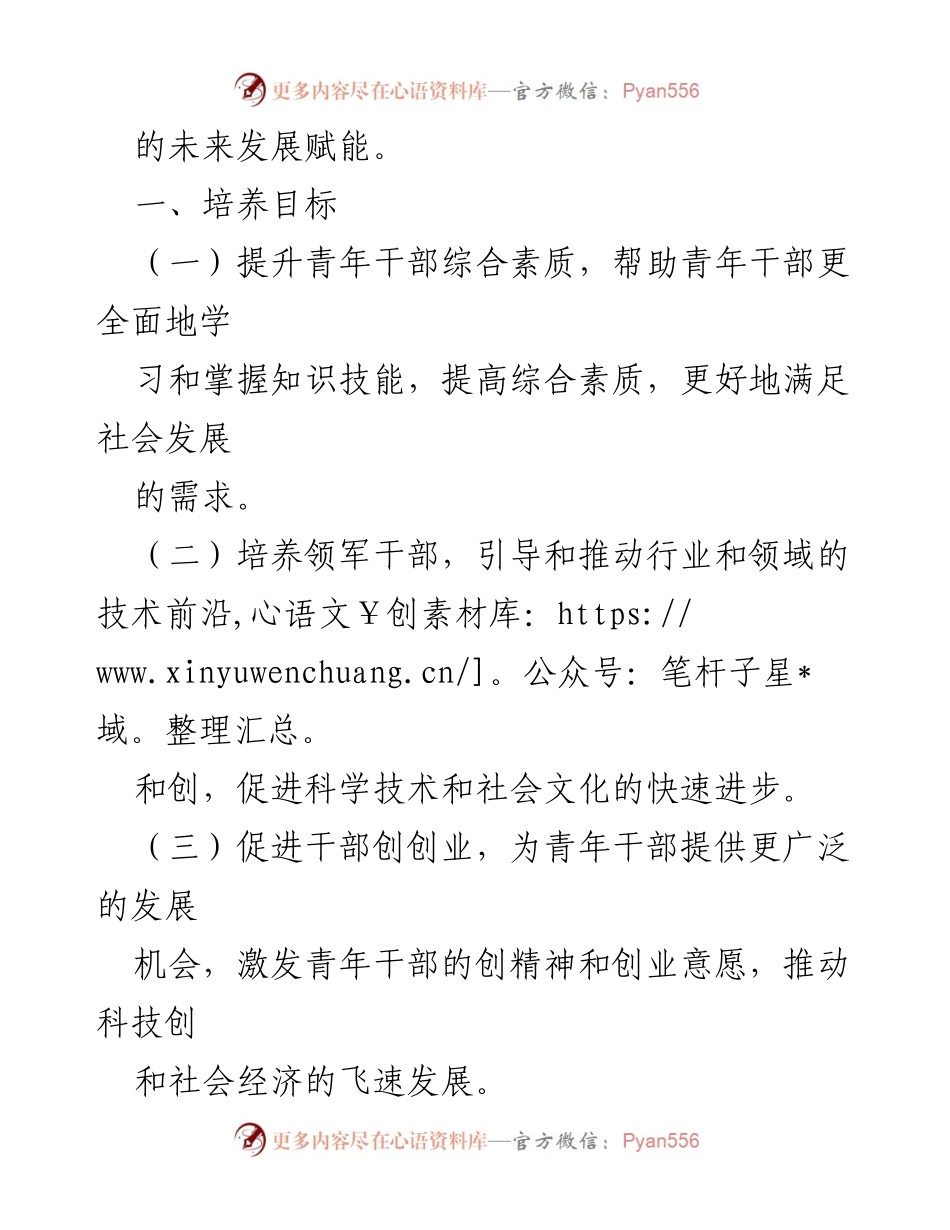 [工作方案] 青年干部培养 - 青年干部综合素质提升与发展机制建设方案.docx_第2页