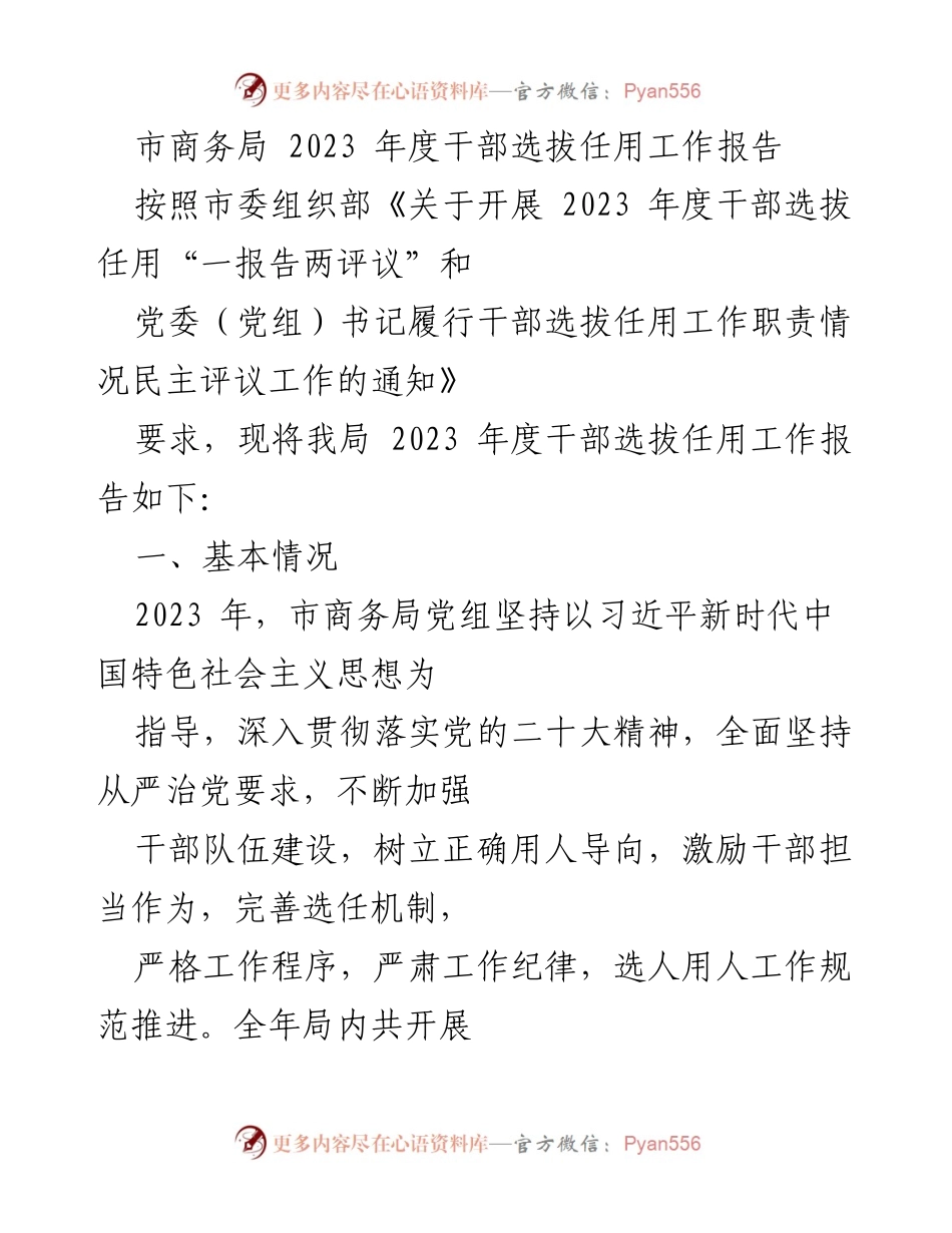 [工作报告] 市商务局 - 2023年度干部选拔任用工作总结.docx_第1页