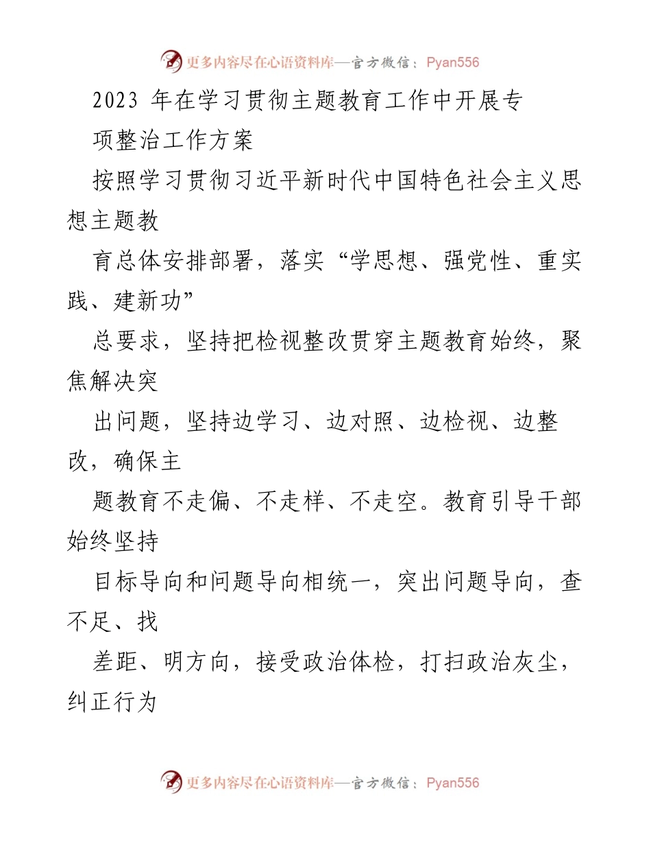 [工作方案] 主题教育 - 2023年专项整治工作方案实施细则.docx_第1页