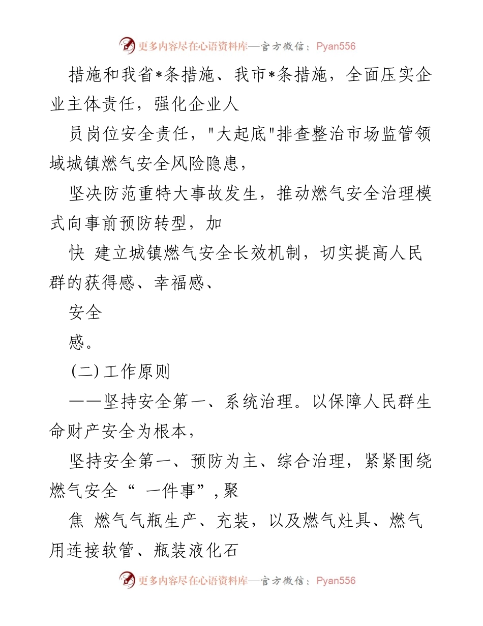 [工作方案] 市场监管 - 城镇燃气安全整治行动实施方案.docx_第2页