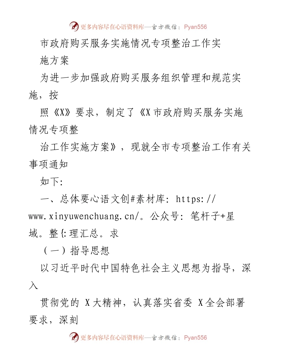 [工作方案] 专项整治 - 市政府购买服务实施情况专项整治工作实施方案.docx_第1页