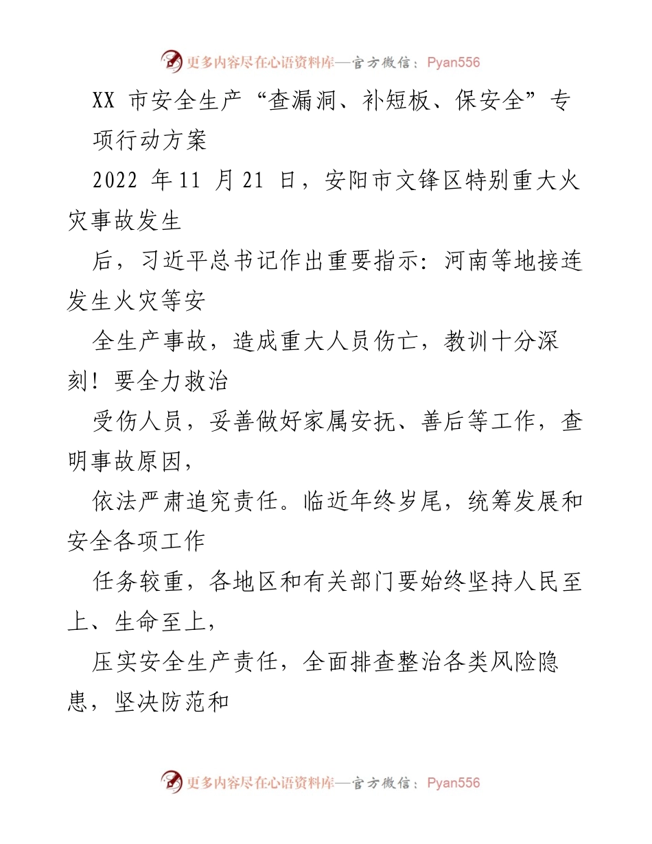 [工作方案] 安全生产专项行动 - XX市安全生产专项行动方案：查漏洞、补短板、保安全.docx_第1页