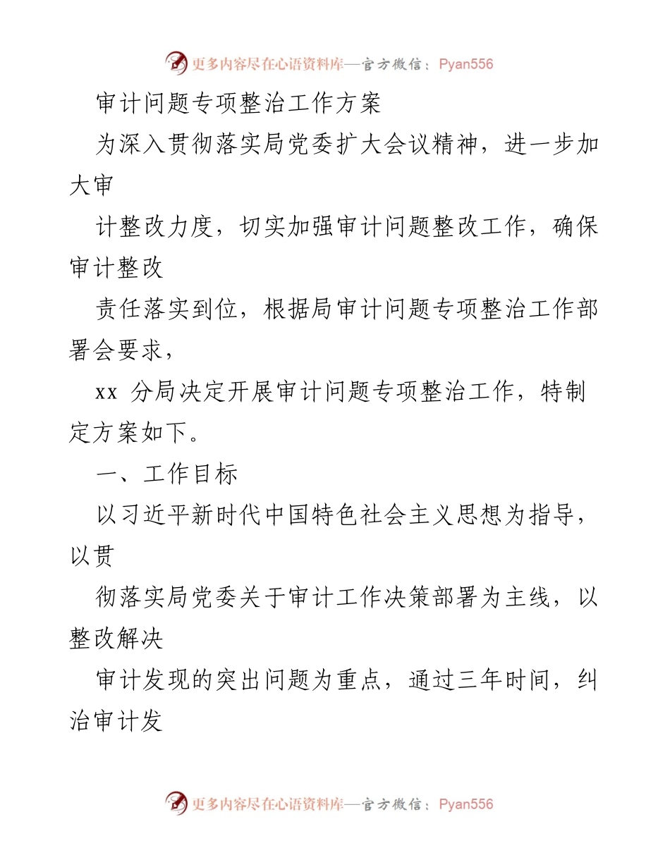 [工作方案] 审计问题专项整治 - 审计问题专项整治工作方案_1.docx_第1页