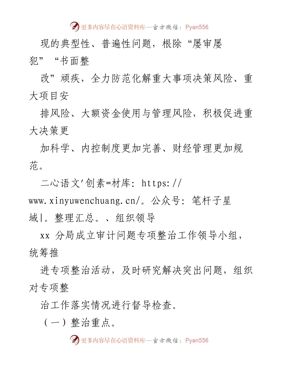 [工作方案] 审计问题专项整治 - 审计问题专项整治工作方案_1.docx_第2页