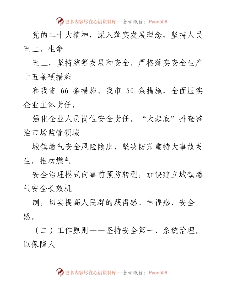 [工作方案] 市市场监管系统 - 城镇燃气安全专项整治行动实施方案_1.docx_第2页