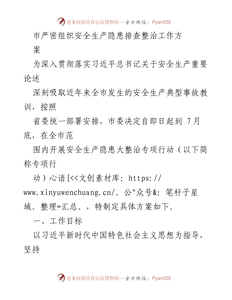 [工作方案] 安全生产专项行动 - 市安全生产隐患排查整治工作方案.docx_第1页
