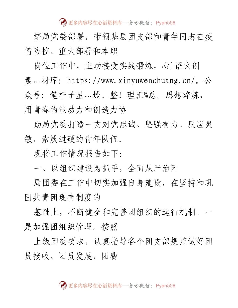 [工作报告] 市局团委换届选举 - 团委工作总结与青年发展报告.docx_第2页