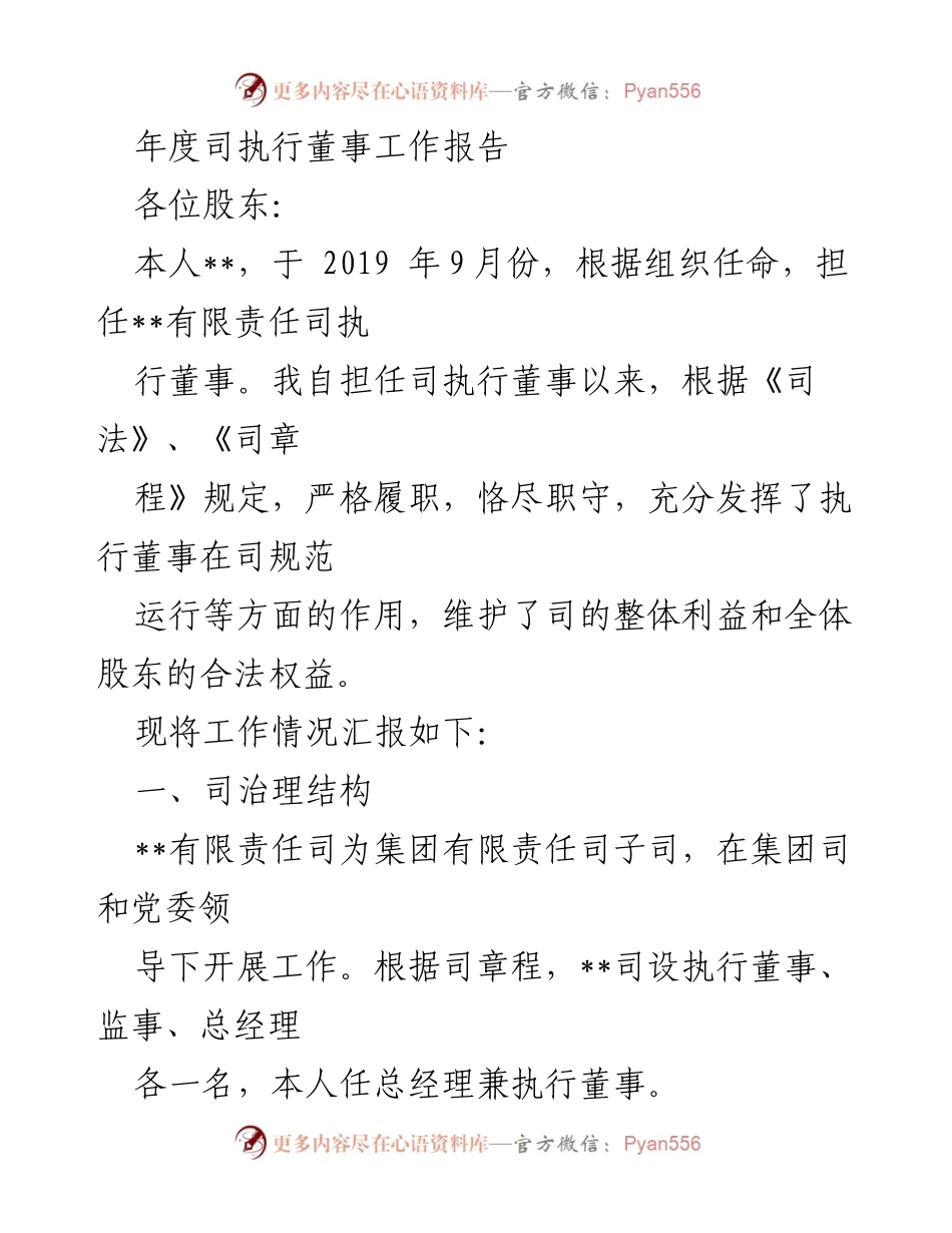[工作报告] 年度股东大会 - 执行董事年度工作总结与展望.docx_第1页
