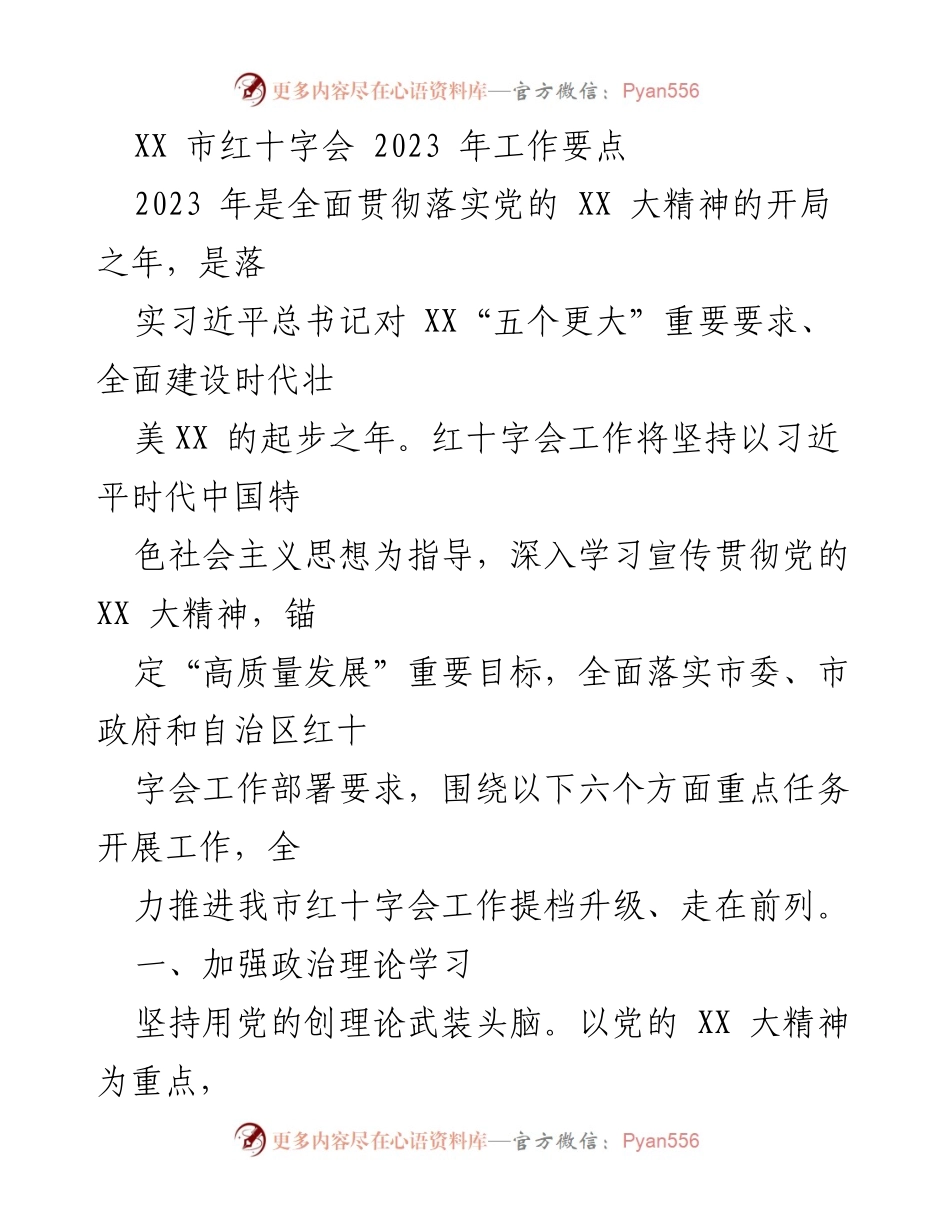 [工作要点] XX市红十字会2023年工作部署 - 2023年红十字会工作重点任务概述.docx_第1页