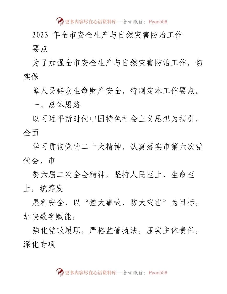 [工作要点] 全市安全生产与自然灾害防治工作会议 - 2023年全市安全生产与自然灾害防治工作要点.docx_第1页