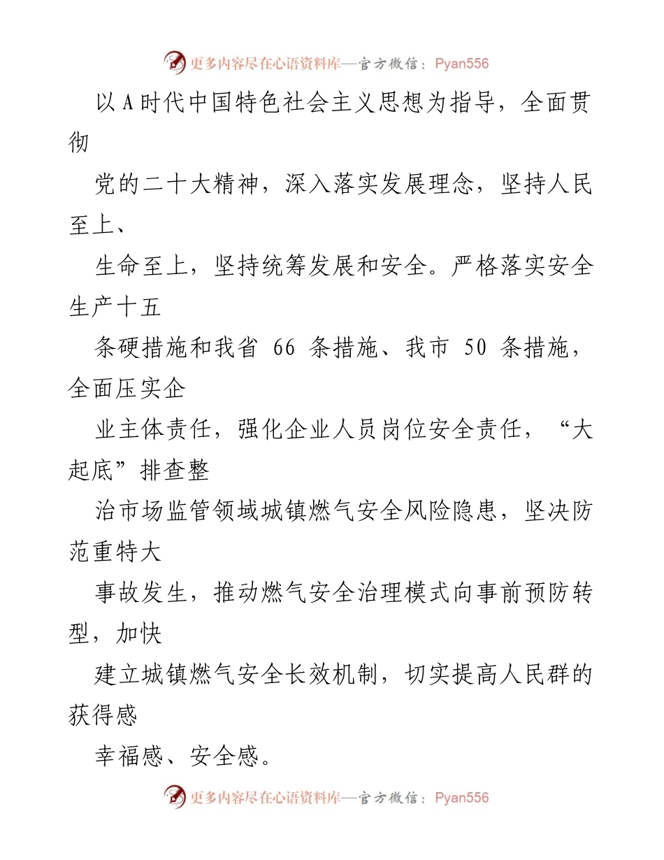 [工作方案] 市市场监管系统 - 城镇燃气安全专项整治行动实施方案.docx_第2页