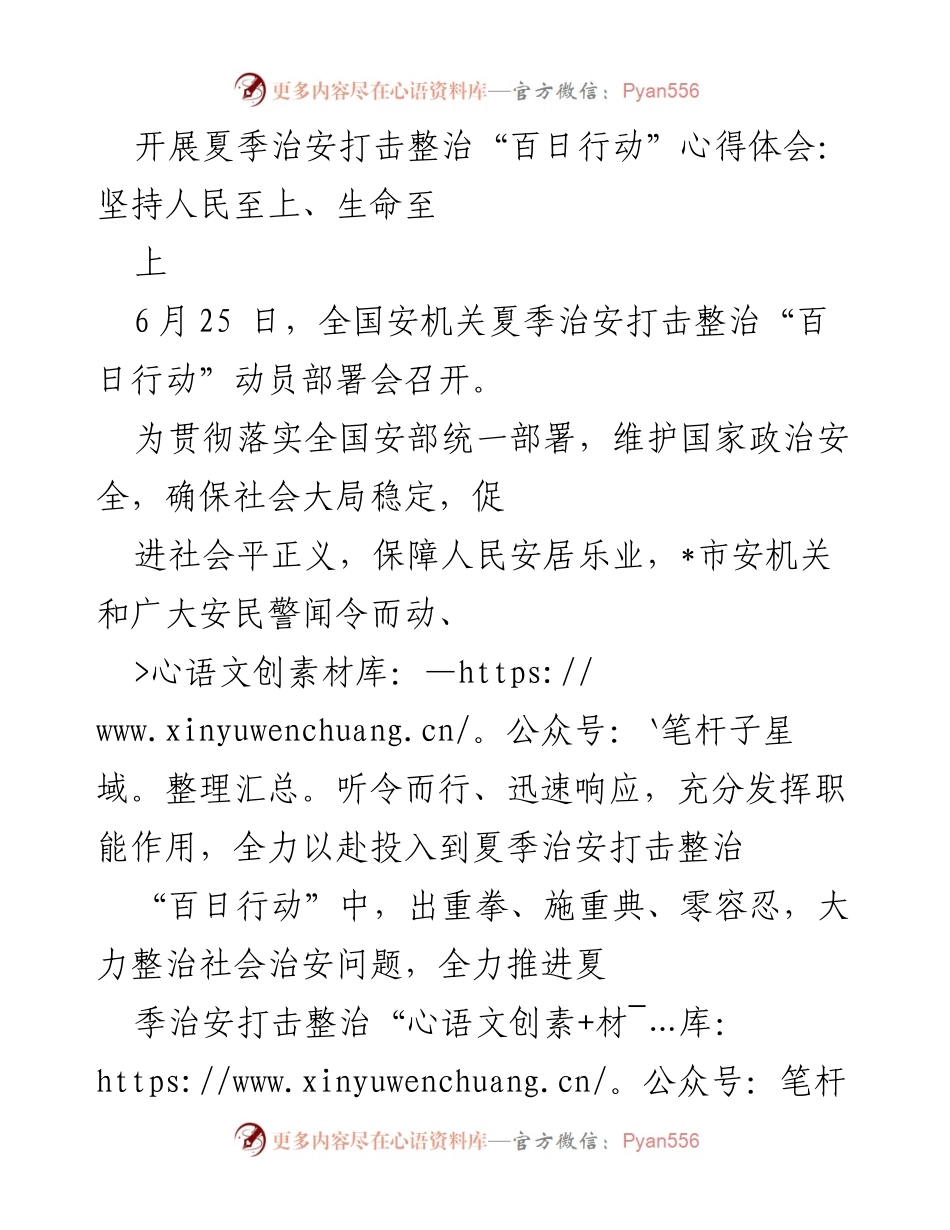 [心得体会] 夏季治安打击整治“百日行动” - 坚持人民至上，确保社会安全稳定.docx_第1页