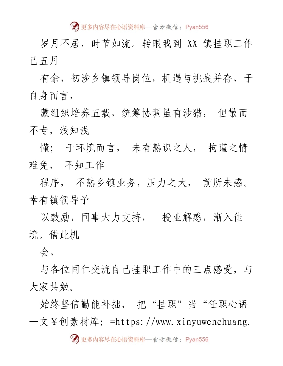 [心得体会] 挂职干部工作总结 - 乡镇挂职干部的成长与挑战.docx_第2页
