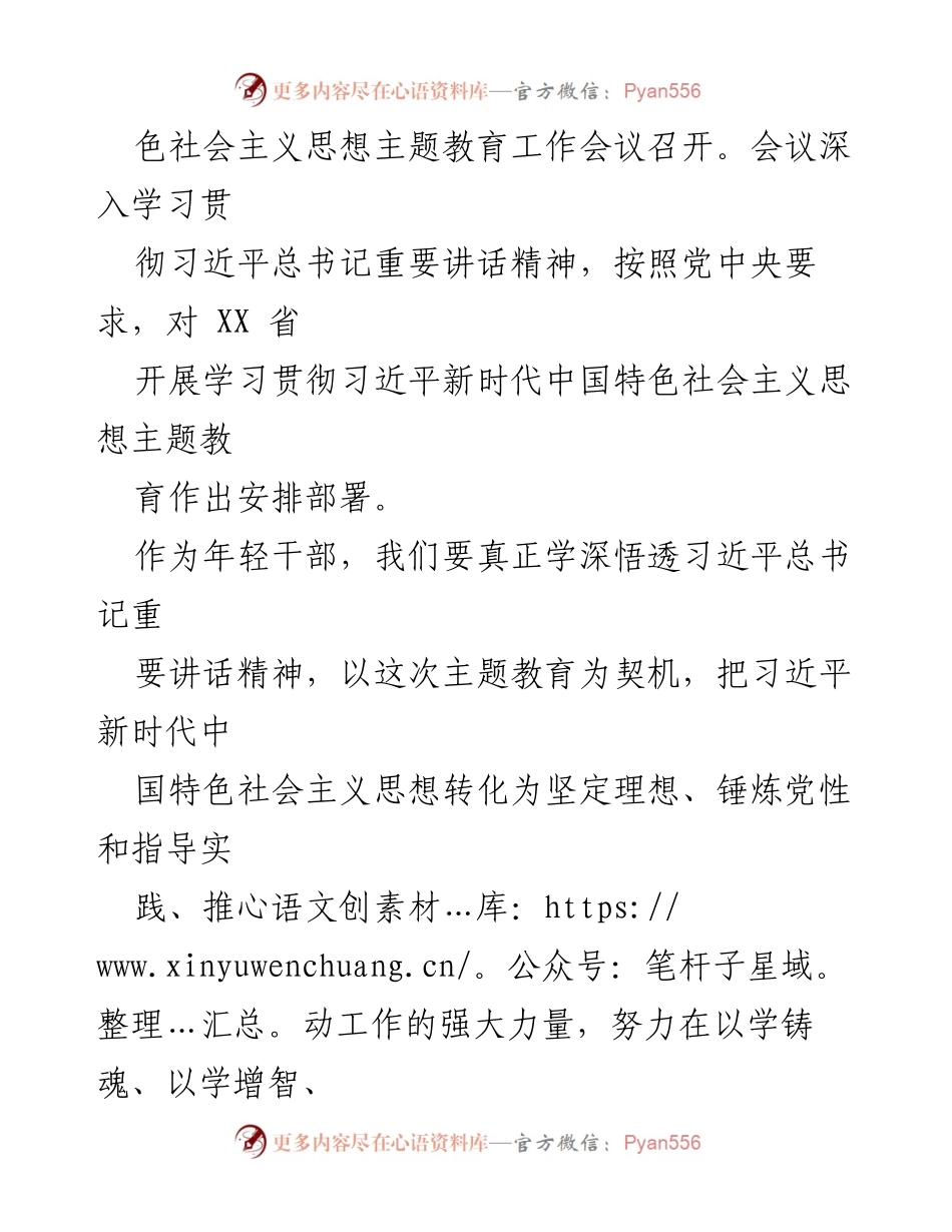[心得体会] 主题教育工作会议 - 深化理解习近平新时代中国特色社会主义思想的实践与思考.docx_第2页