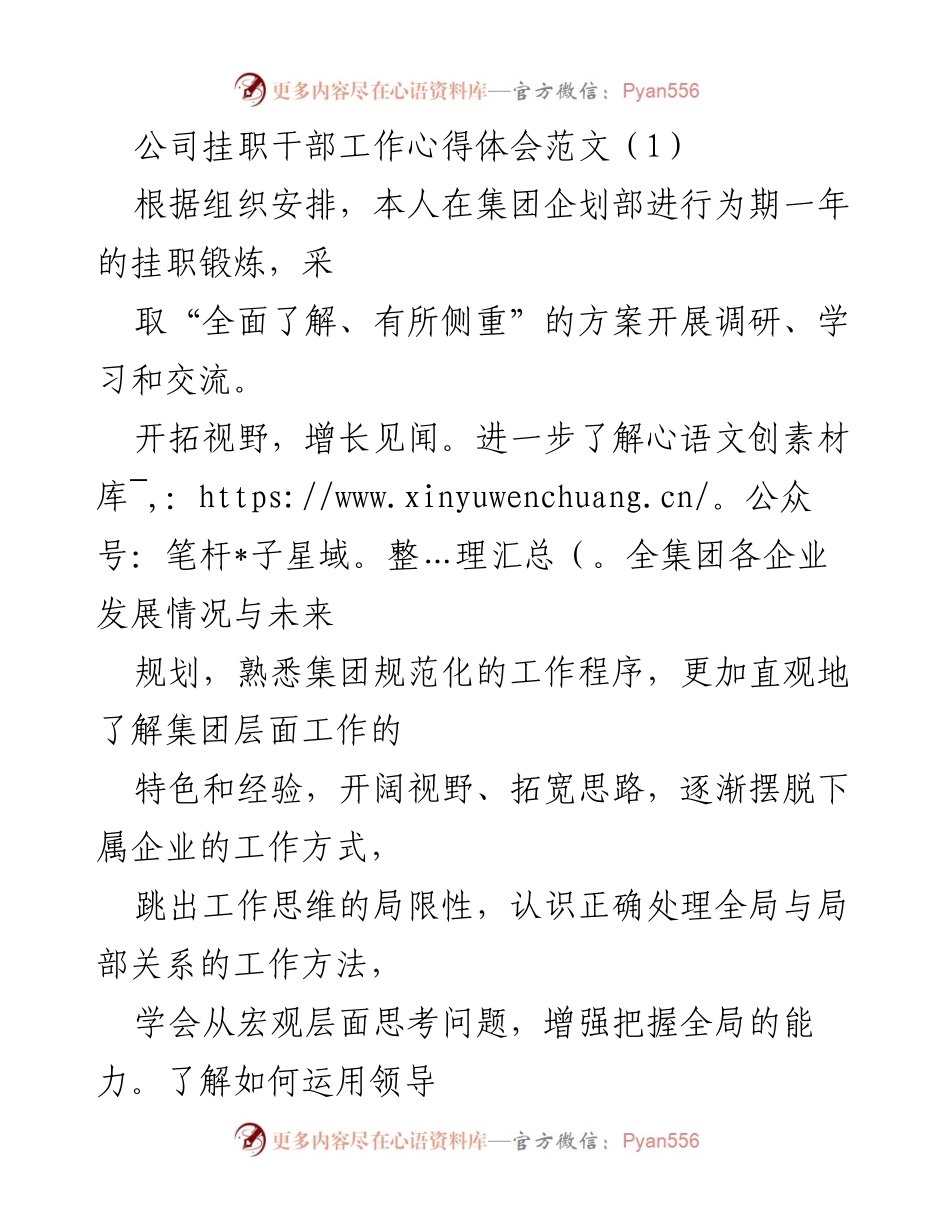 [心得体会] 挂职锻炼 - 提升视野与能力的挂职锻炼心得.docx_第1页