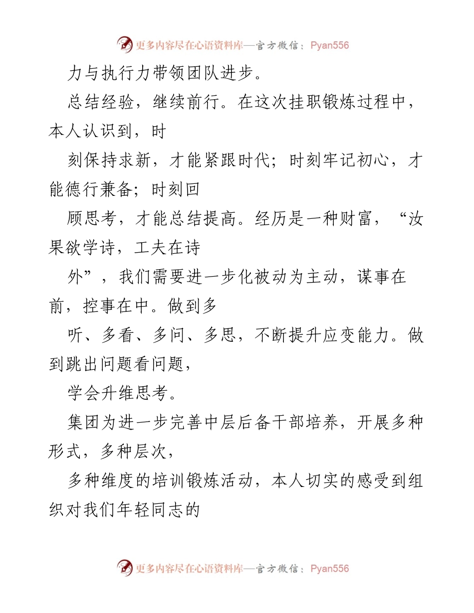 [心得体会] 挂职锻炼 - 提升视野与能力的挂职锻炼心得.docx_第2页
