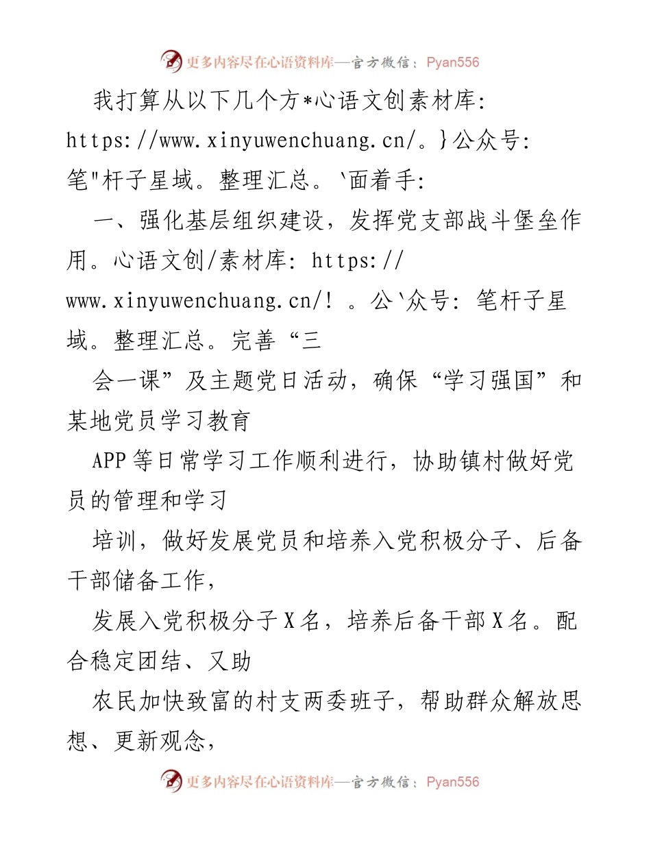 [工作计划] 驻村任职 - 加强基层组织建设，推动X村全面发展.docx_第2页