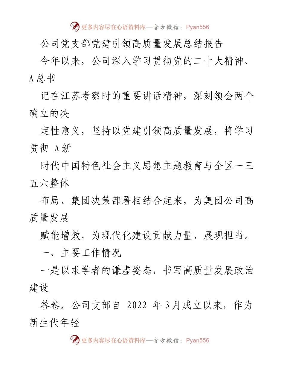 [总结报告] 公司党支部 - 党建引领高质量发展工作总结.docx_第1页