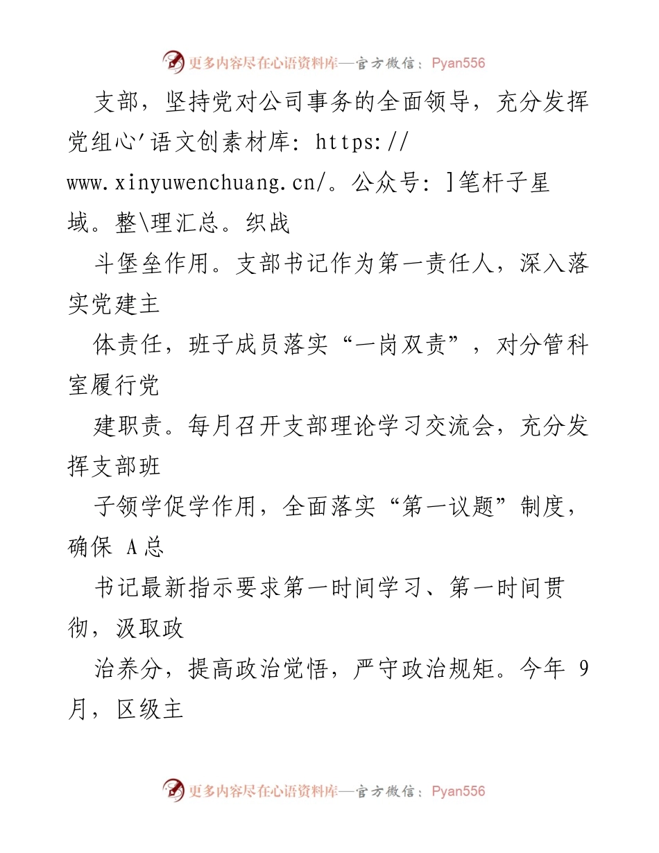 [总结报告] 公司党支部 - 党建引领高质量发展工作总结.docx_第2页