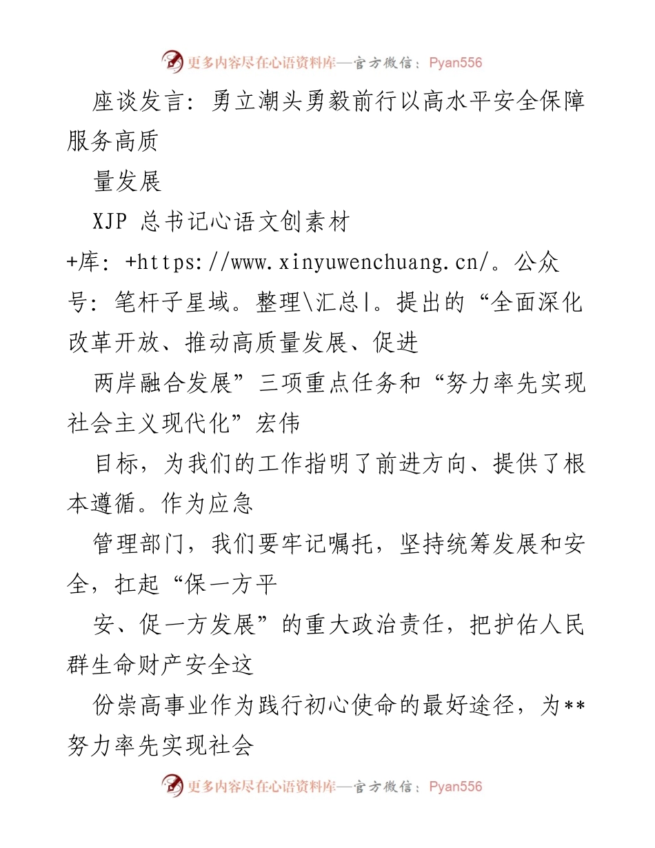 [座谈发言] 应急管理部门会议 - 高水平安全保障助力高质量发展.docx_第1页