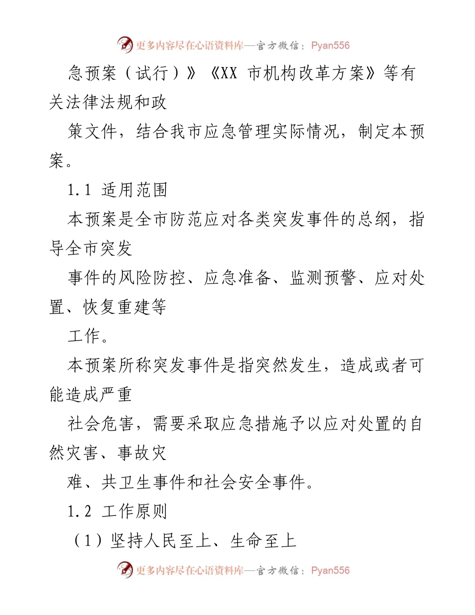 [应急预案] 市级应急管理 - XX市突发事件应急预案（试行）.docx_第2页