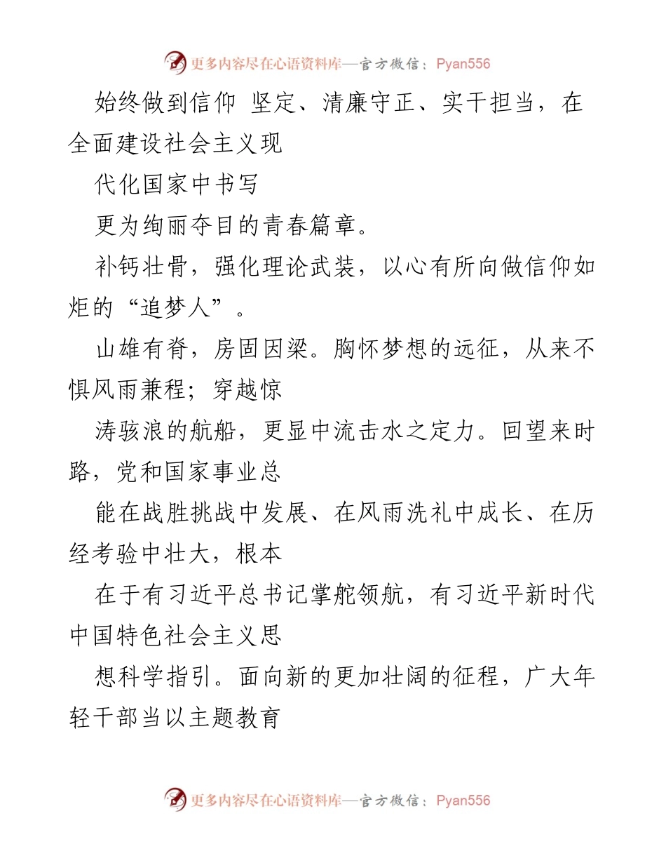 [心得体会] 学习交流 - 青年干部如何在中国式现代化进程中坚定信仰与廉洁自律.docx_第2页