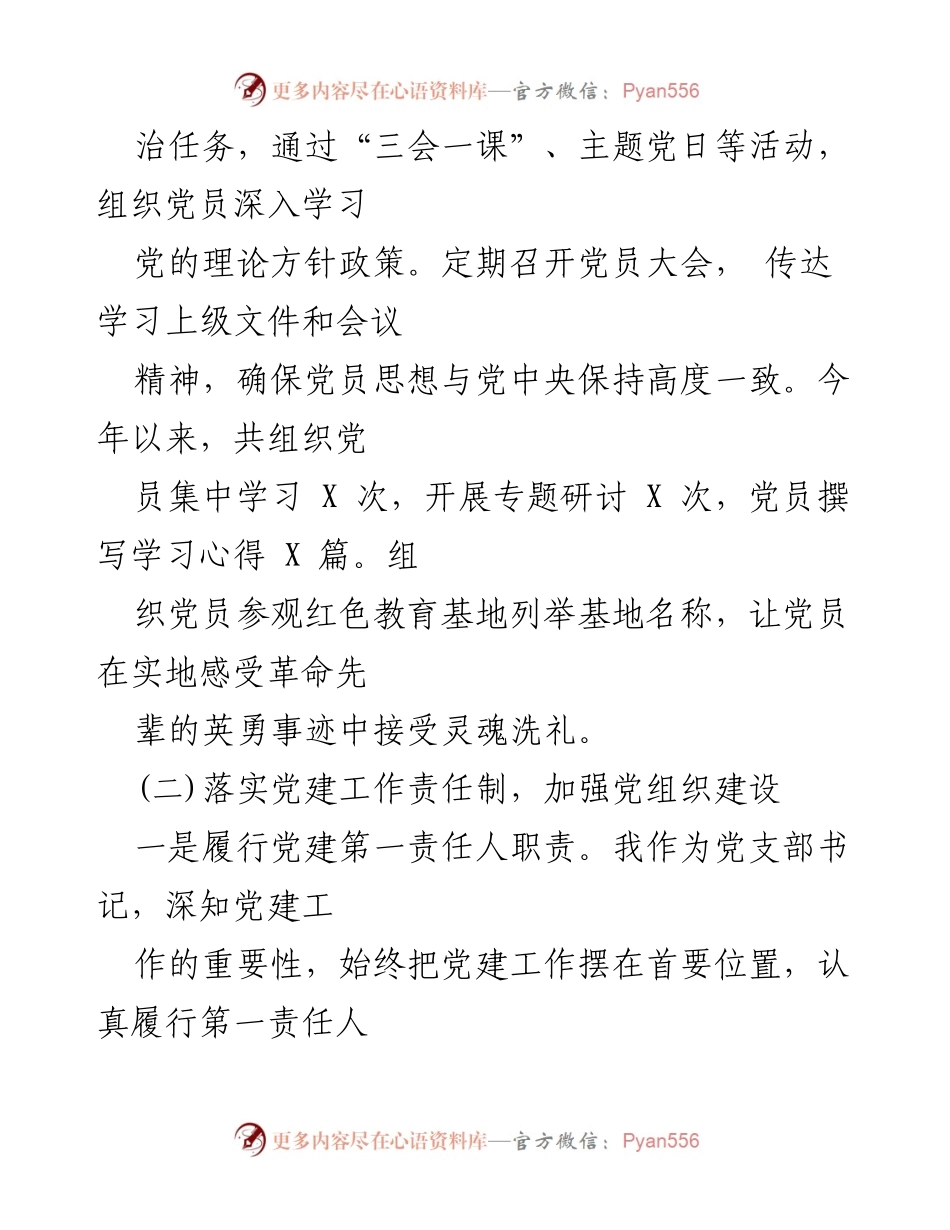 [工作述职报告] 村党建工作 - 2025年党支部书记党建工作述职报告.docx_第2页