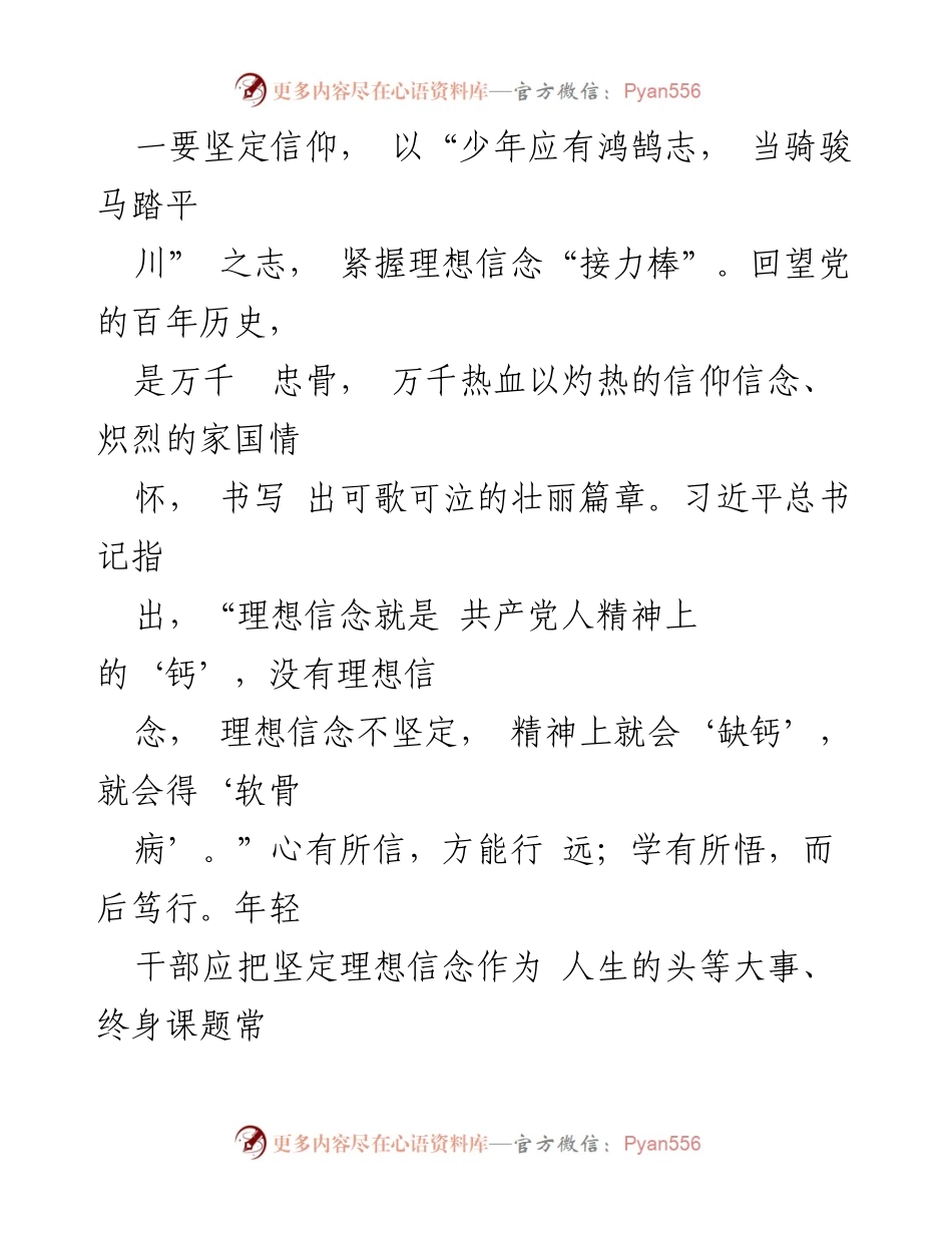[心得体会] 青年干部培训班 - 坚定信仰、实干担当：青年干部的使命与责任.docx_第2页