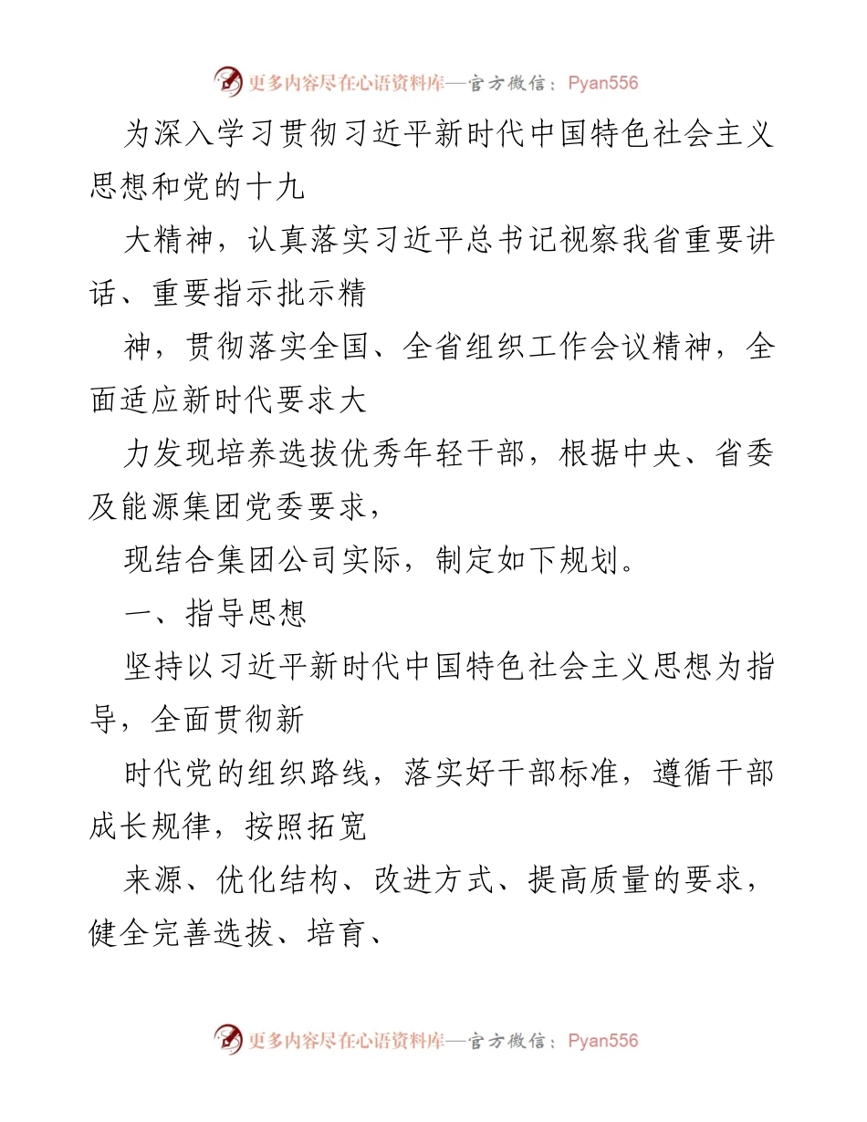 [工作规划] 干部选拔 - 优化年轻干部选拔与培养机制的实施方案.docx_第1页