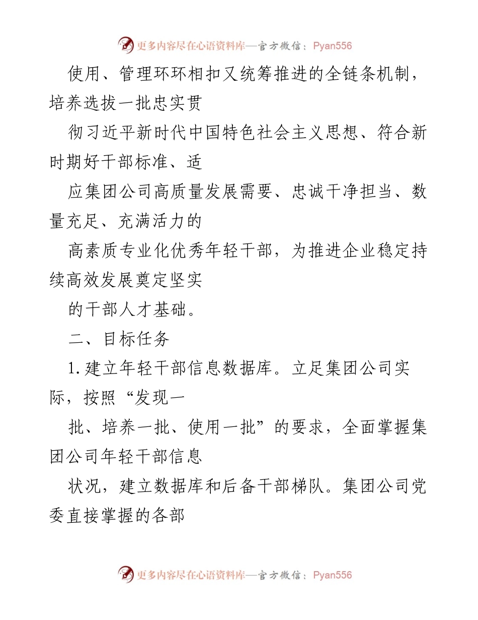 [工作规划] 干部选拔 - 优化年轻干部选拔与培养机制的实施方案.docx_第2页