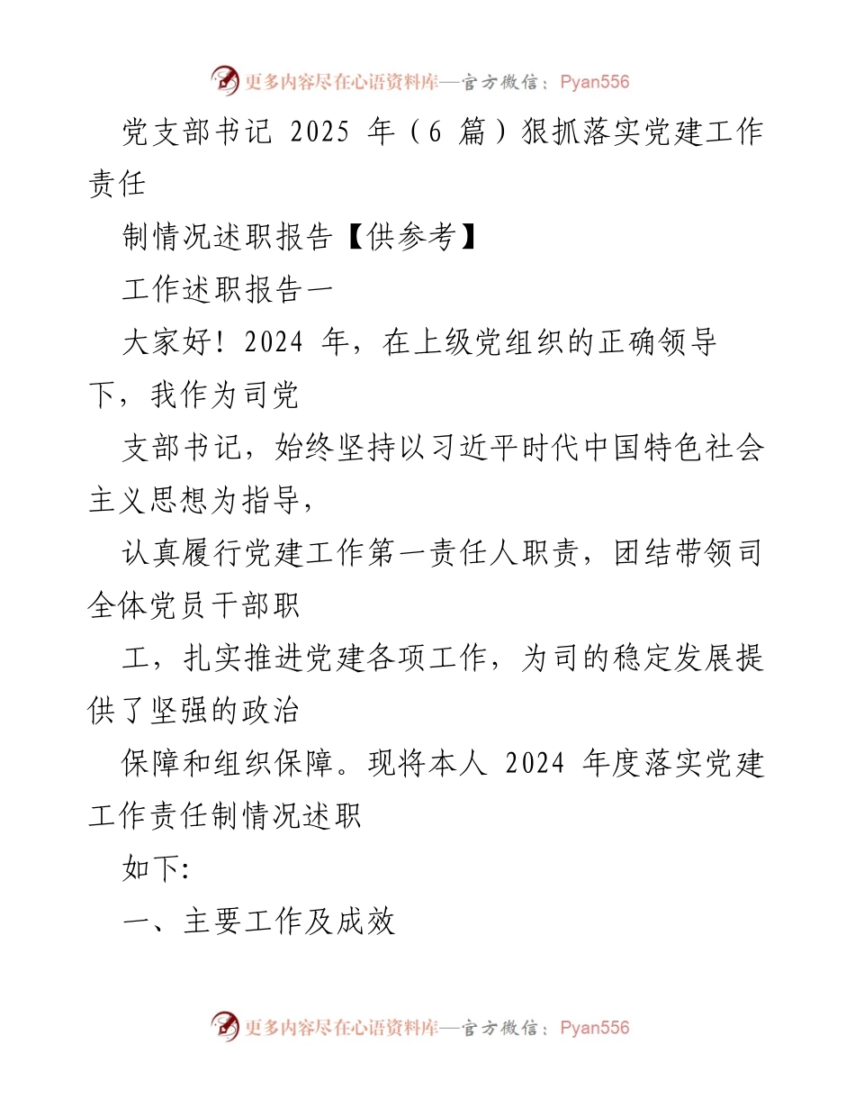 [工作述职报告] 党建工作 - 2024年度党建工作责任制落实情况述职报告_1.docx_第1页