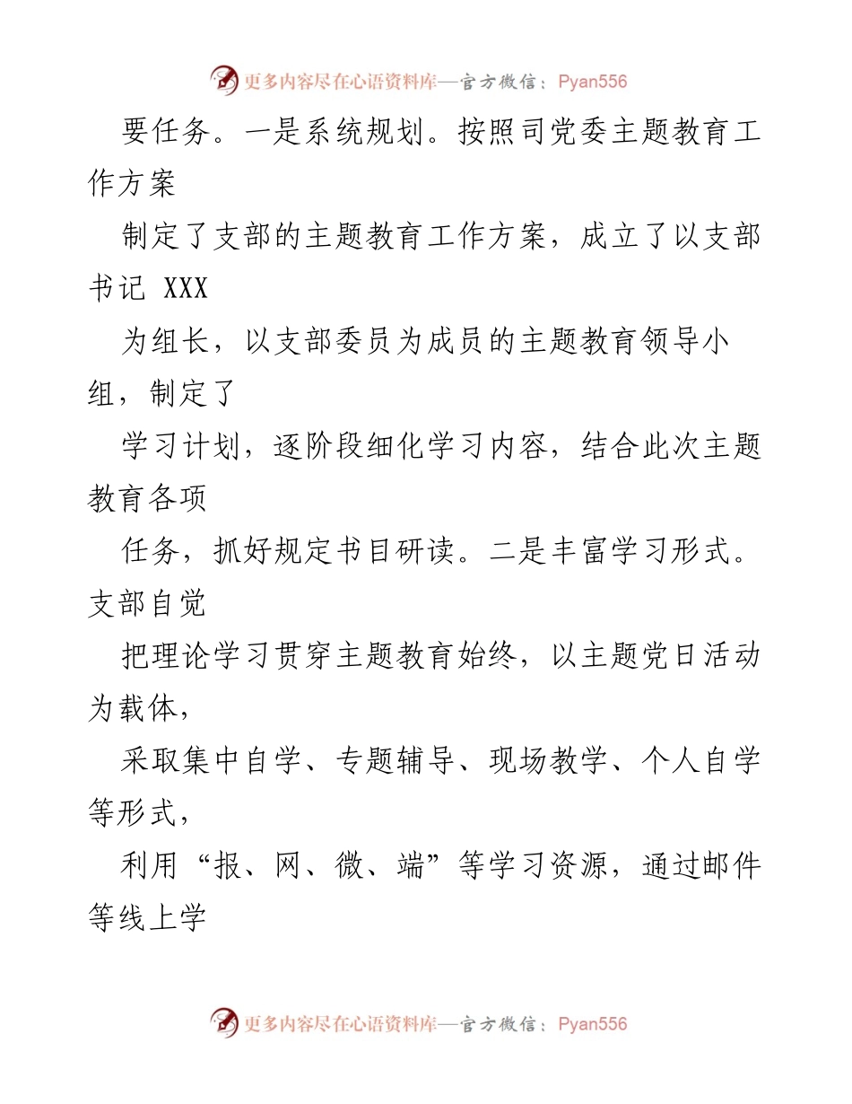 [总结报告] 党支部主题教育 - 城投·首居项目党支部主题教育总结报告.docx_第2页