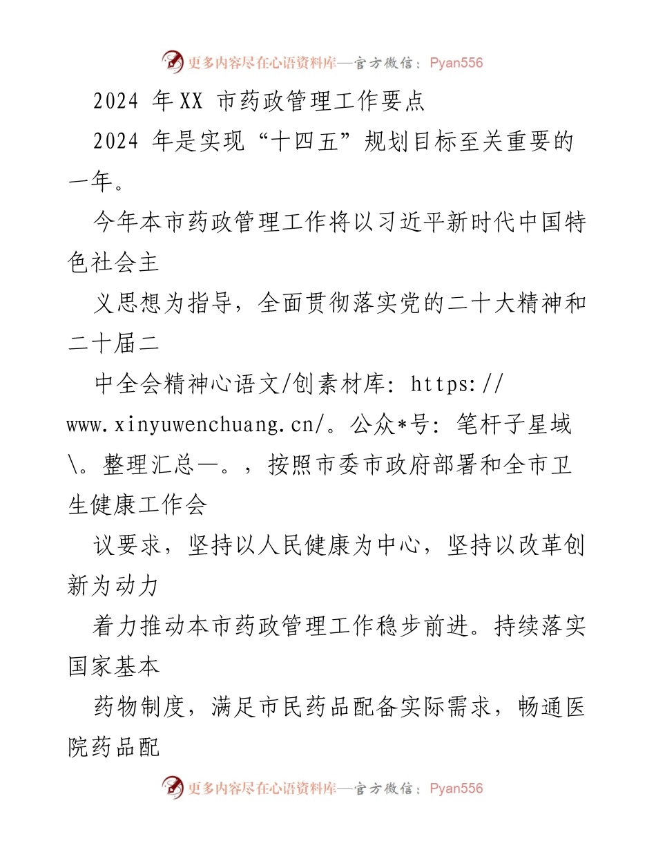 [工作要点] 药政管理会议 - 2024年XX市药政管理工作要点与实施策略.docx_第1页