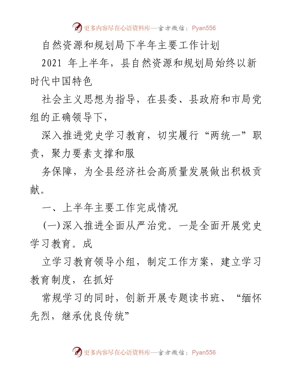 [工作计划] 自然资源和规划局 - 下半年工作计划与上半年总结报告.docx_第1页