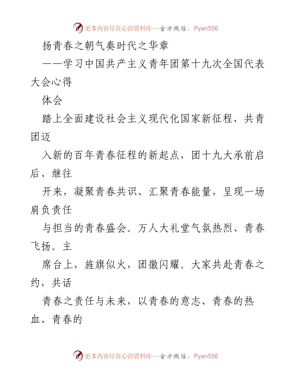 [心得体会] 学习会议 - 青年干部的使命与责任：共青团第十九次全国代表大会心得体会.docx_第1页