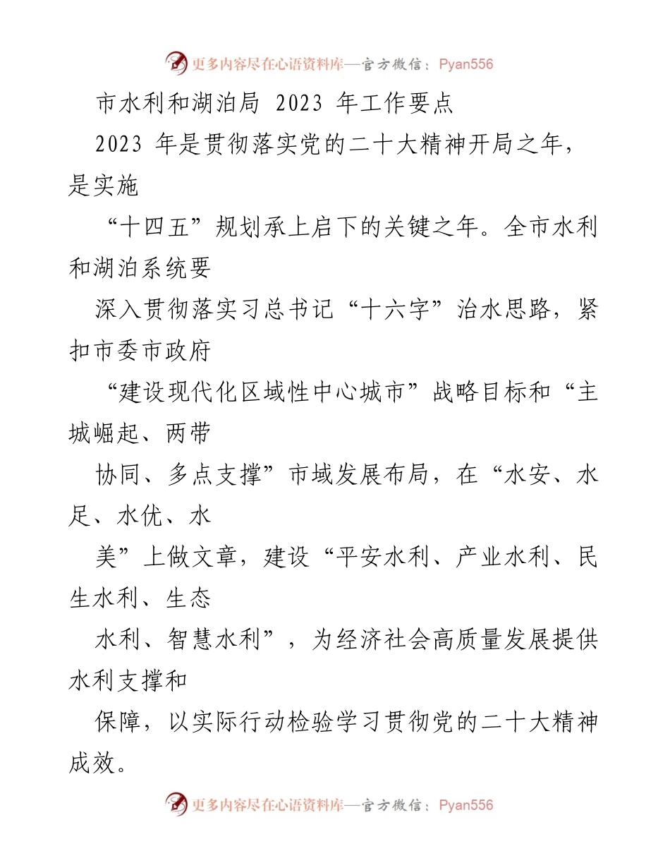 [工作要点] 水利行业 - 2023年市水利和湖泊局工作要点总结.docx_第1页