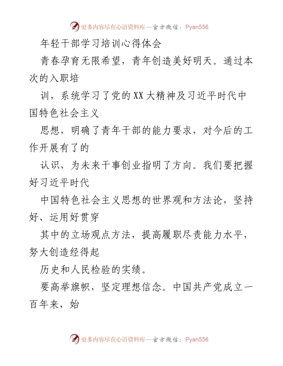[心得体会] 培训总结 - 青年干部的理想信念与实践提升.docx_第1页