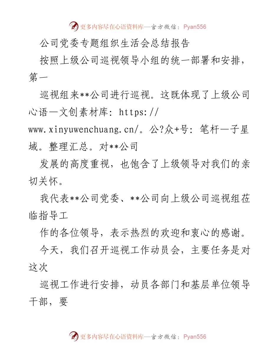 [总结报告] 党委专题组织生活会 - 公司巡视工作动员会总结报告.docx_第1页