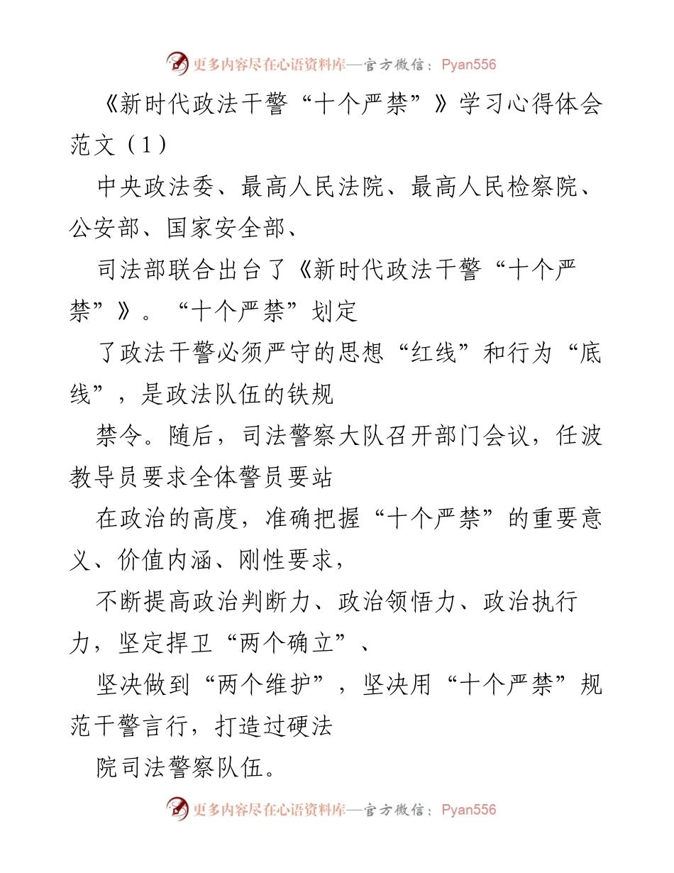[心得体会] 司法警察大队会议 - 深入学习新时代政法干警“十个严禁”的重要性与实践要求.docx_第1页