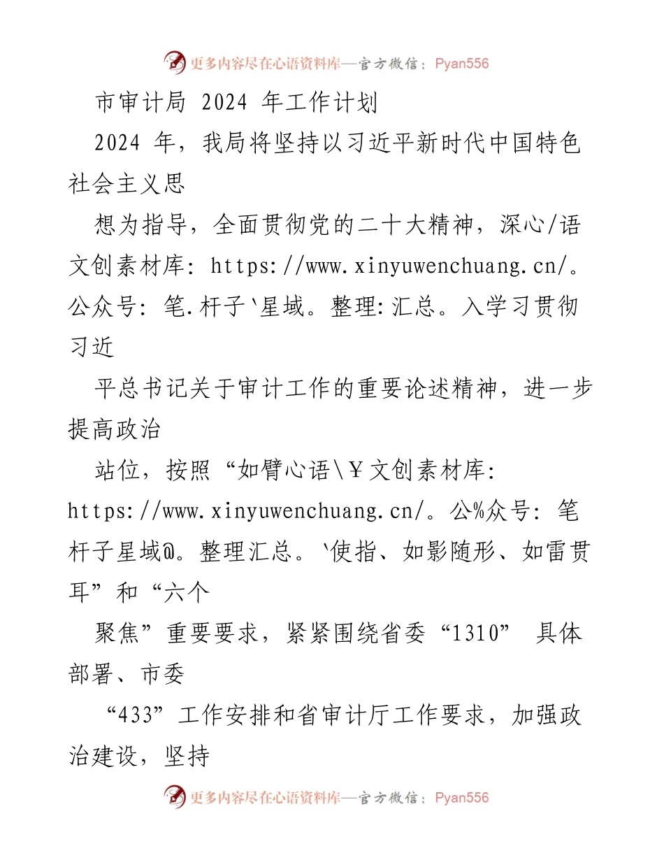 [工作计划] 市审计局 - 2024年审计工作计划与重点任务.docx_第1页