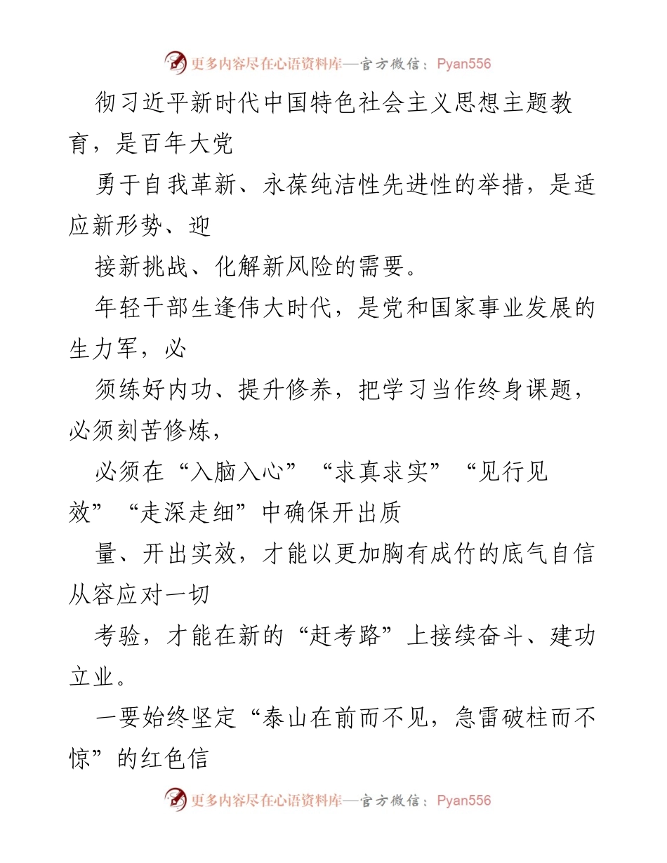 [心得体会] 主题教育工作会议 - 坚定信念，锤炼内功：年轻干部学习贯彻习近平新时代中国特色社会主义思想的体会.docx_第2页