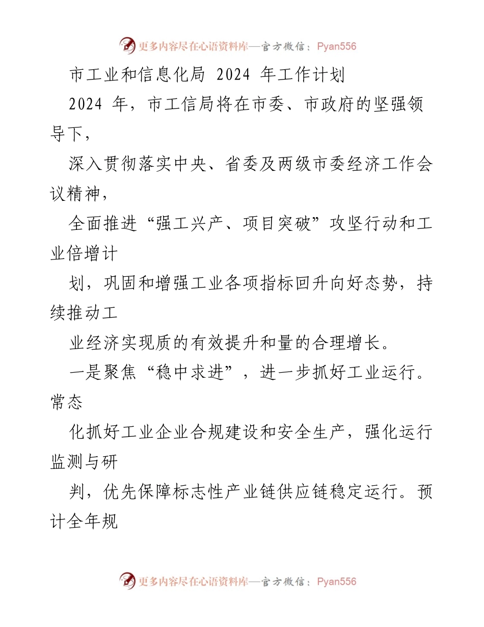 [工作计划] 市工业和信息化局 - 2024年市工信局工作计划概述.docx_第1页