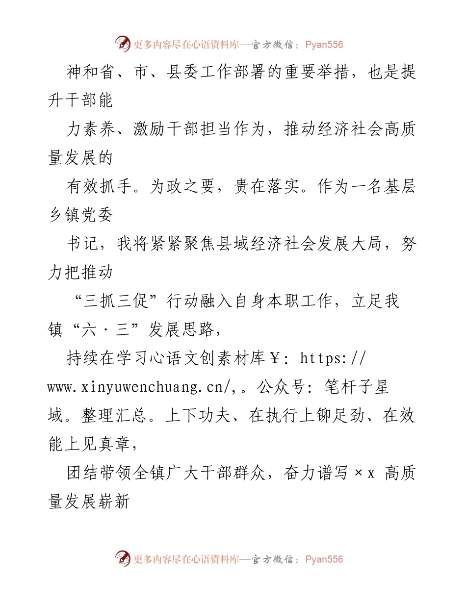 [心得体会] 乡镇干部会议 - “三抓三促”行动的心得与实践总结.docx_第2页