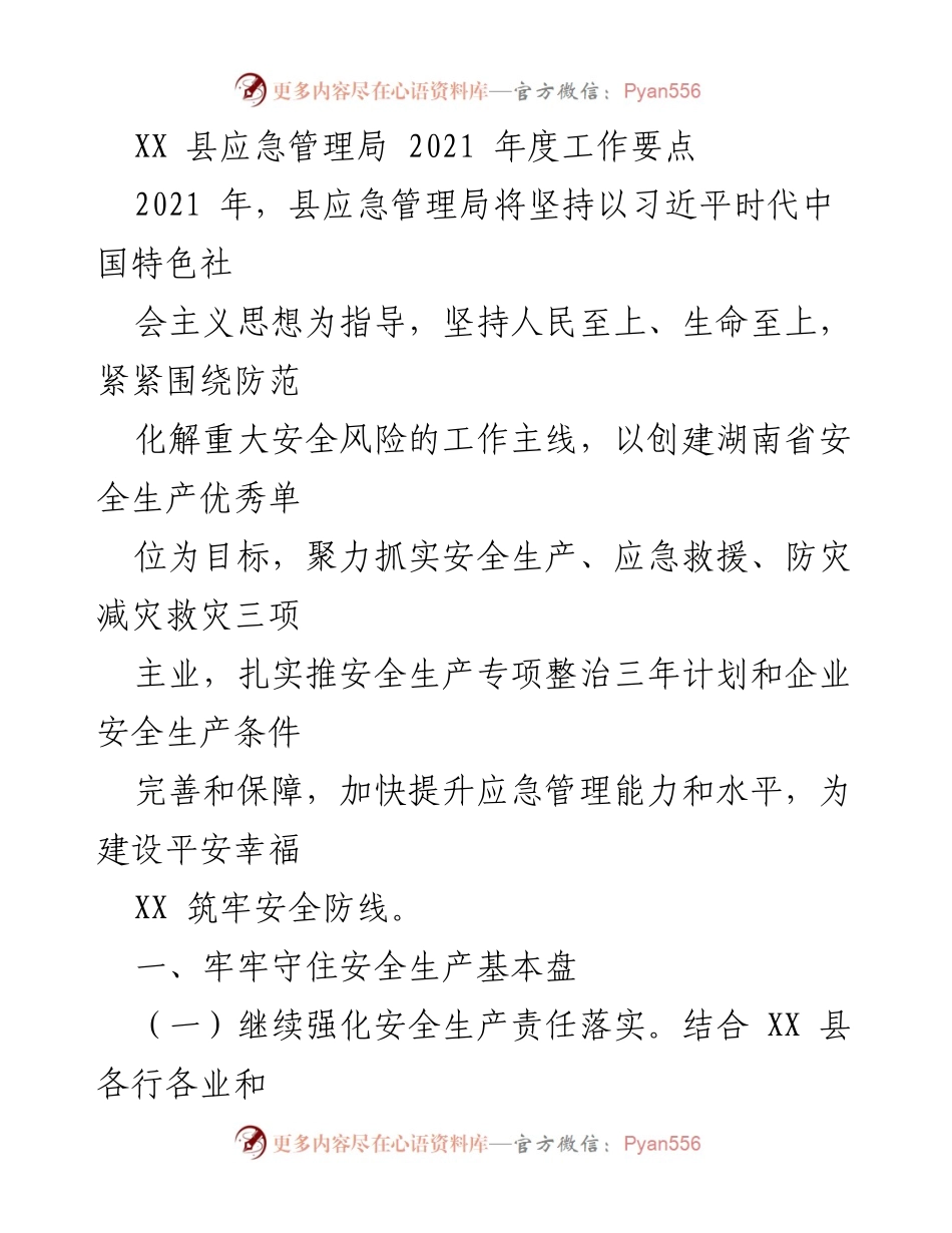 [工作要点] 年度工作会议 - 2021年度XX县应急管理局工作要点.docx_第1页