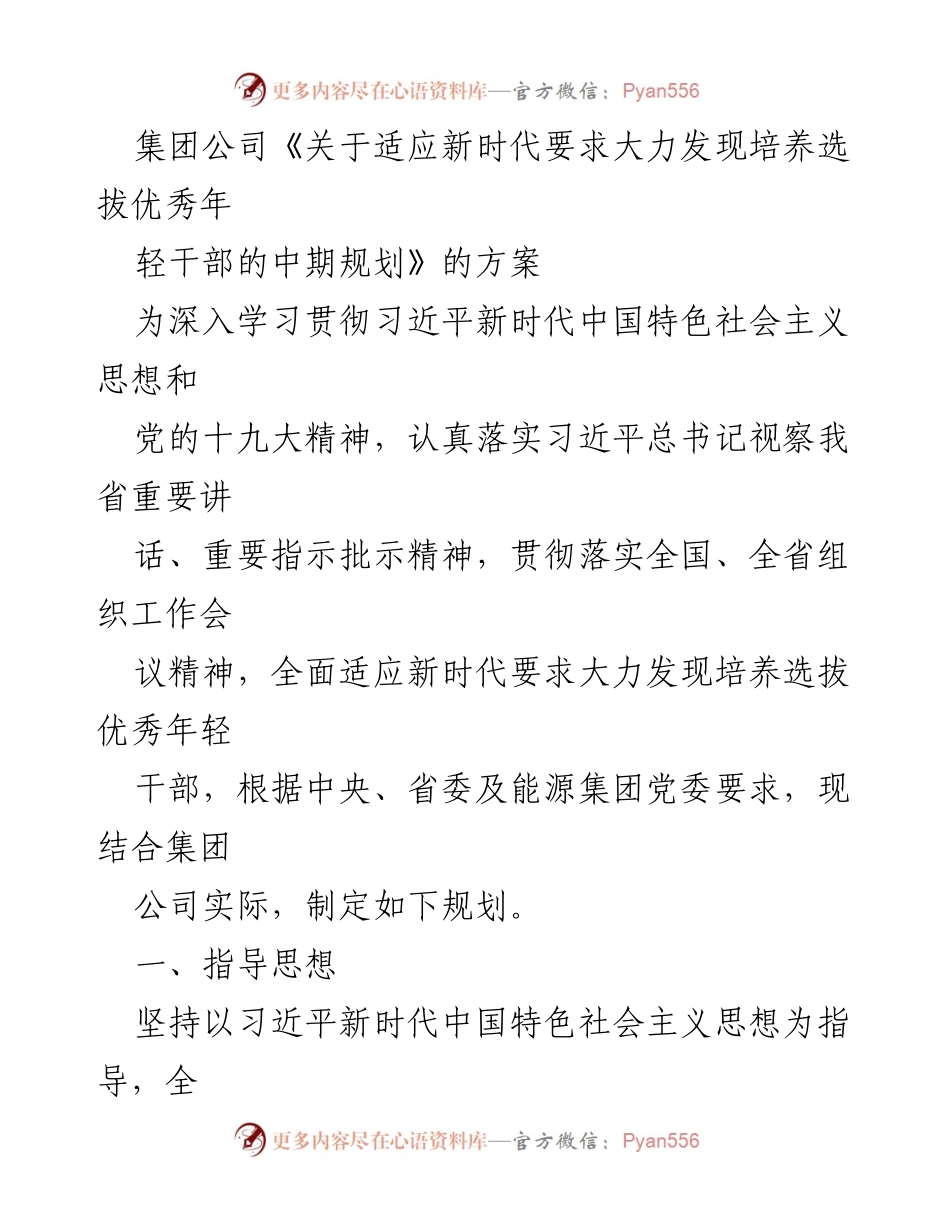 [工作规划] 集团公司 - 年轻干部选拔与培养中期规划方案.docx_第1页