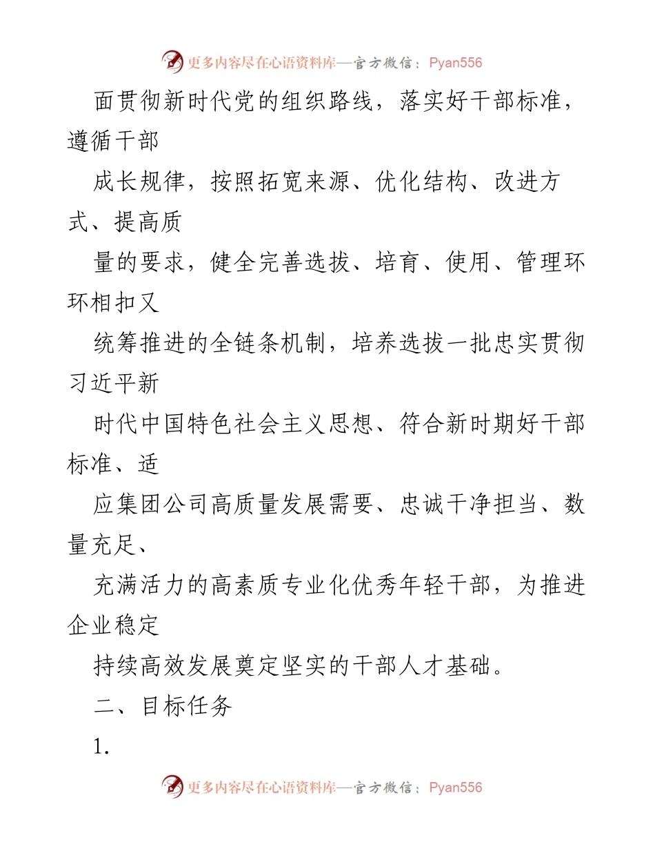 [工作规划] 集团公司 - 年轻干部选拔与培养中期规划方案.docx_第2页