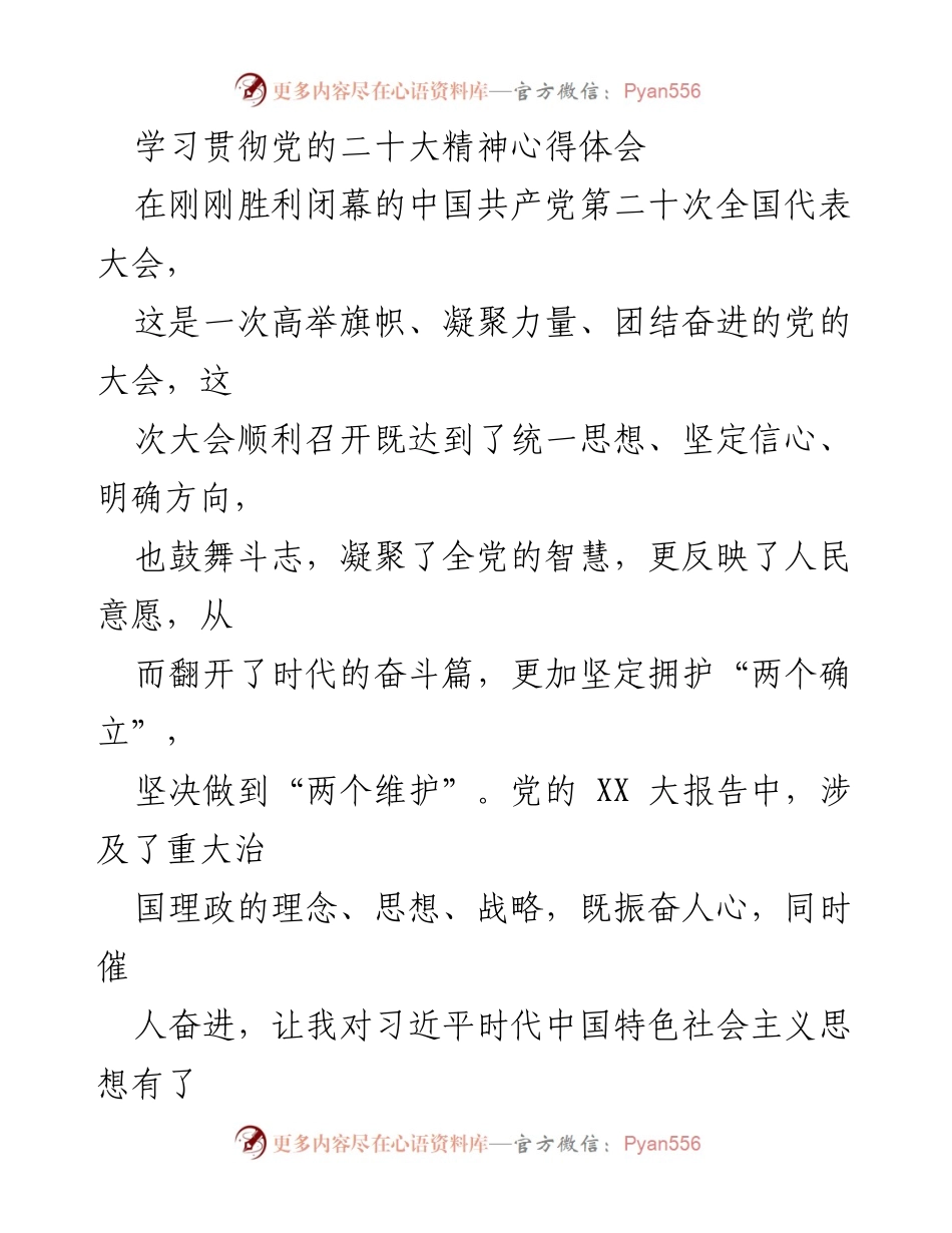 [心得体会] 学习贯彻党的二十大精神 - 坚定信念，服务大局：我对党的二十大精神的理解与实践.docx_第1页