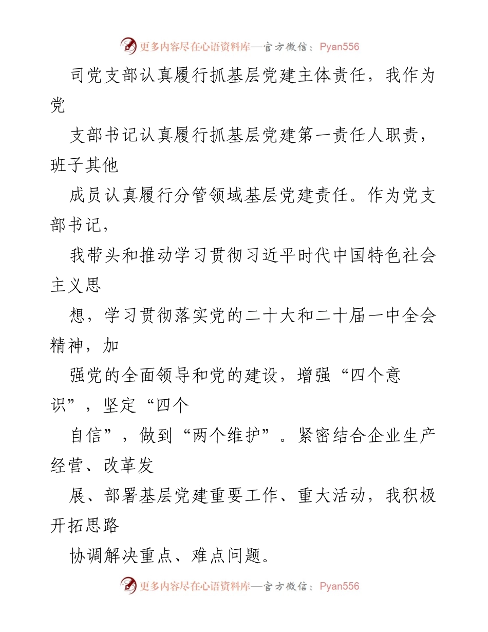 [工作述职报告] 党建工作 - XX司党支部书记年度党建工作述职报告.docx_第2页